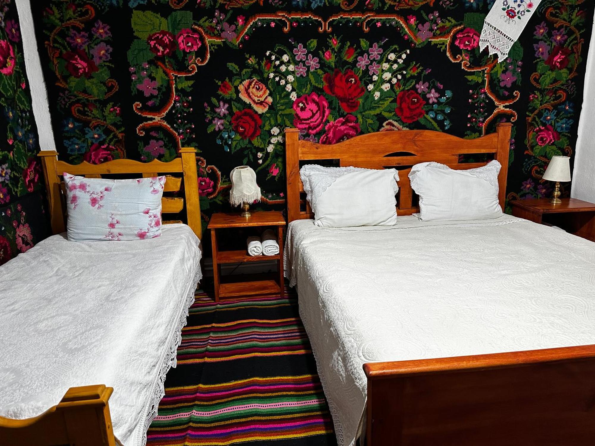 La Madalina Bed & Breakfast Selemet Exterior photo